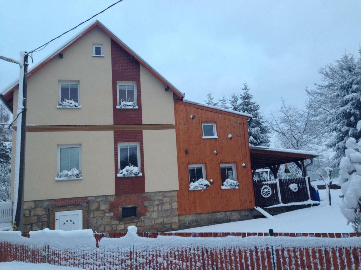 Arnoltice u DecinaUbytovani U Rybnicka别墅 外观 照片